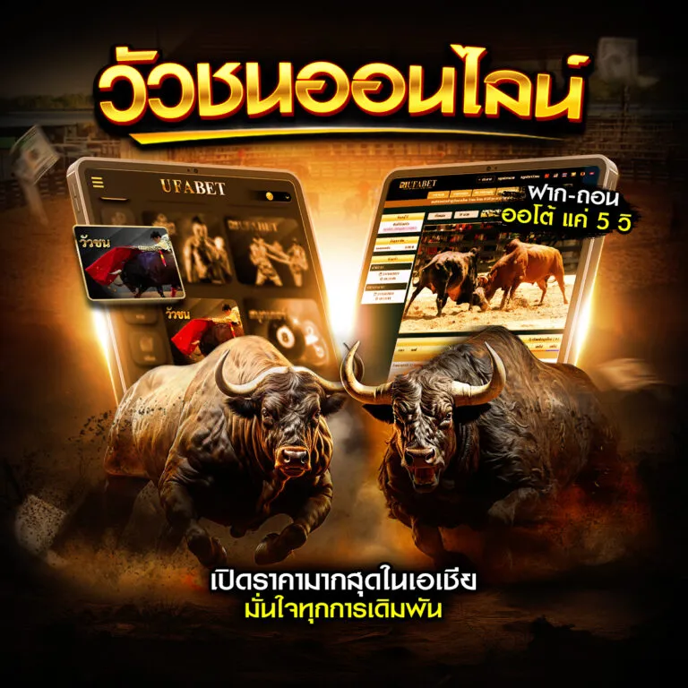 วัว ชน 168